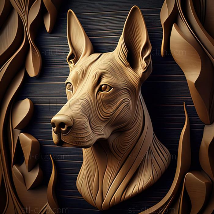 st Thai Ridgeback dog